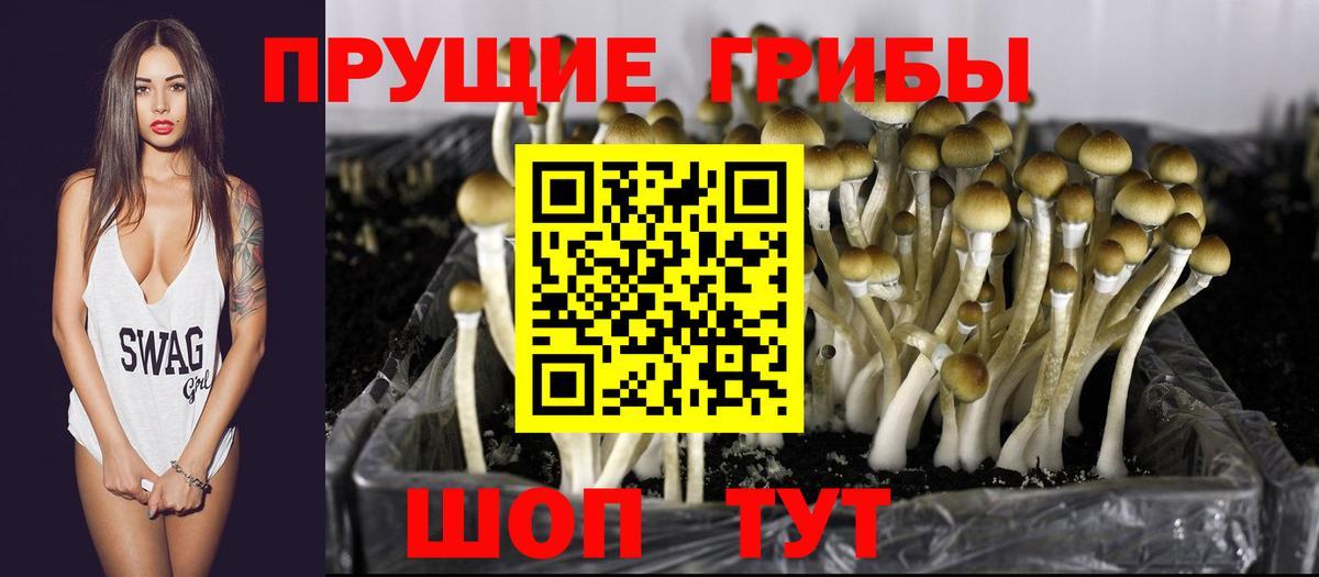 Галлюциногенные грибы мухоморы  Вход с VPN  купить  сайты  Корсаков 